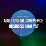 ecommerce business analyst