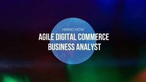 ecommerce business analyst