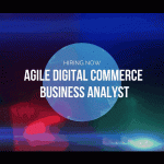 ecommerce business analyst