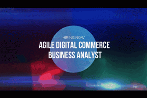 ecommerce business analyst