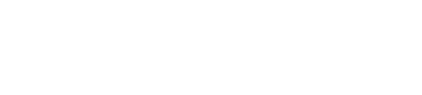 Valliance AI